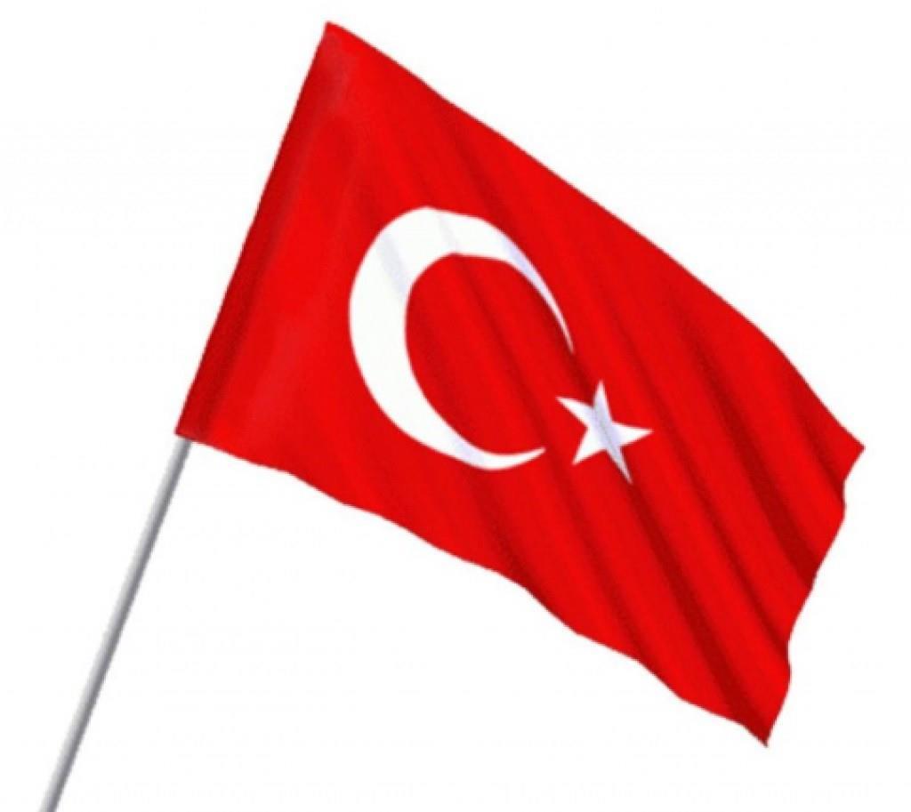 Vatan Bayrak Sopalı Ponje 30X45Vatan Bayrak Sopalı Ponje 30X45 - Kirtasiyem NetBayraklar
