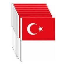Vatan Bayrak Sopalı Ponje 50X75Vatan Bayrak Sopalı Ponje 50X75 - Kirtasiyem NetBayraklar
