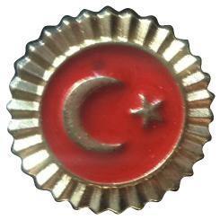 Vatan Türk Bayraklı (Dipli) RozetVatan Türk Bayraklı (Dipli) Rozet - Kirtasiyem NetRozet