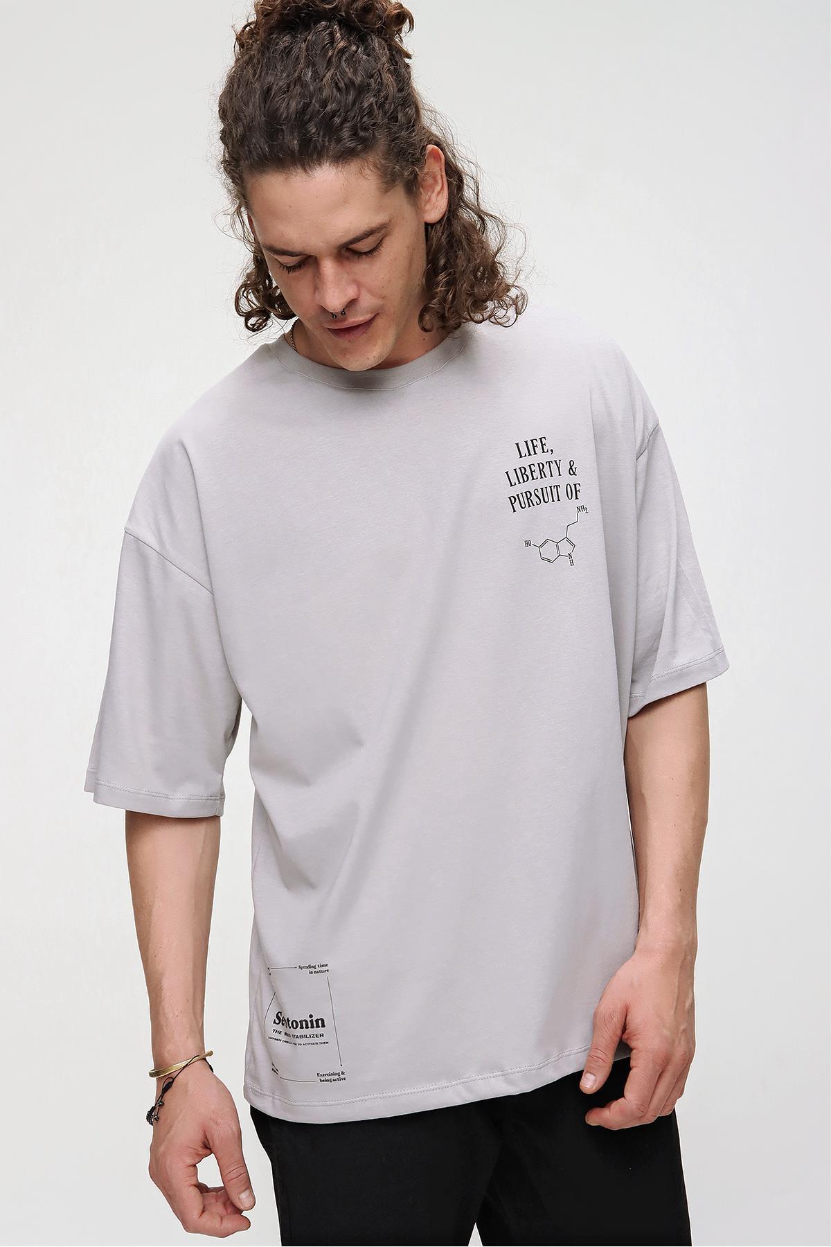 Chuba Erkek Gri Bisiklet Yaka Seratonin Baskılı Oversize T-Shirt 21S108