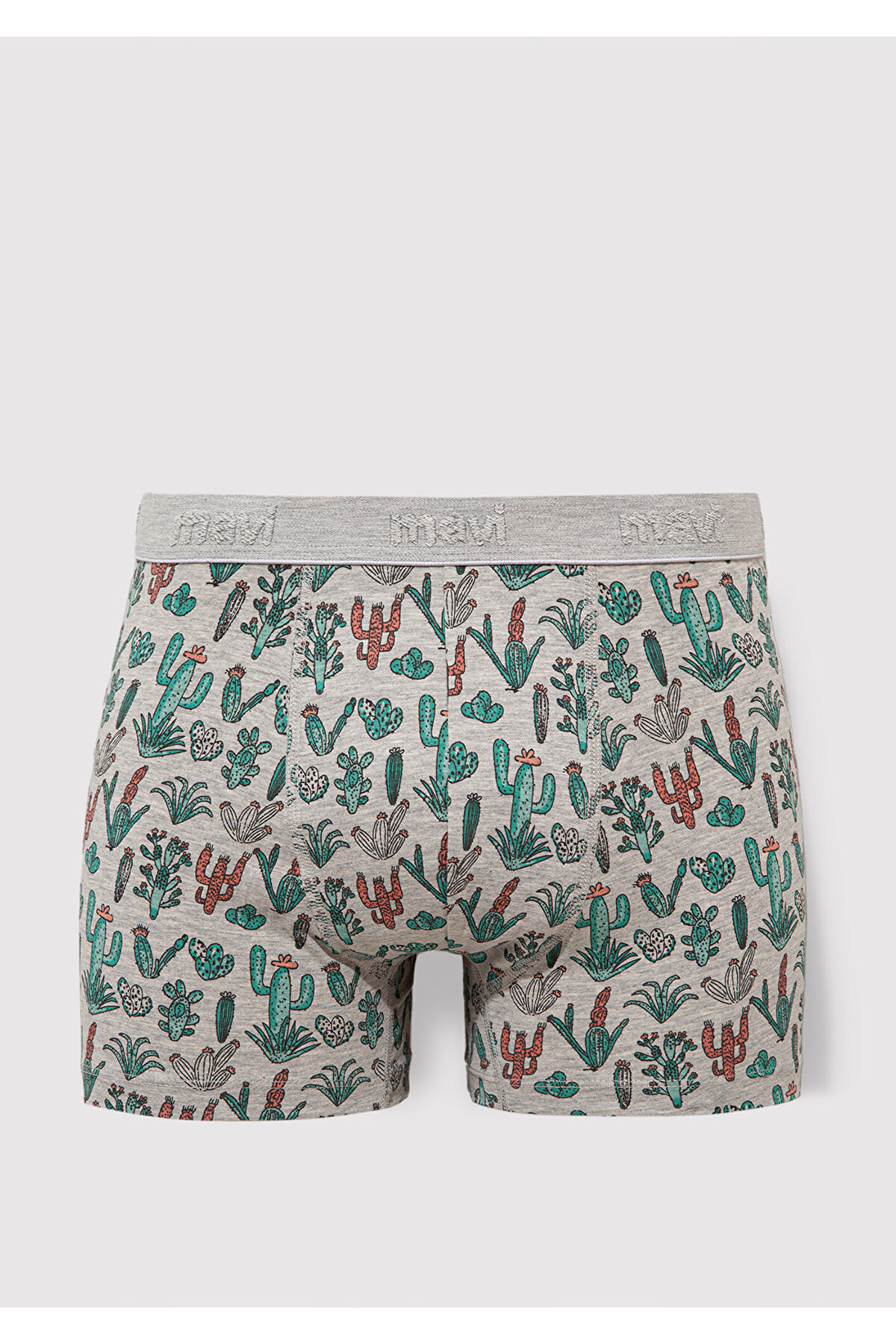 Boxer