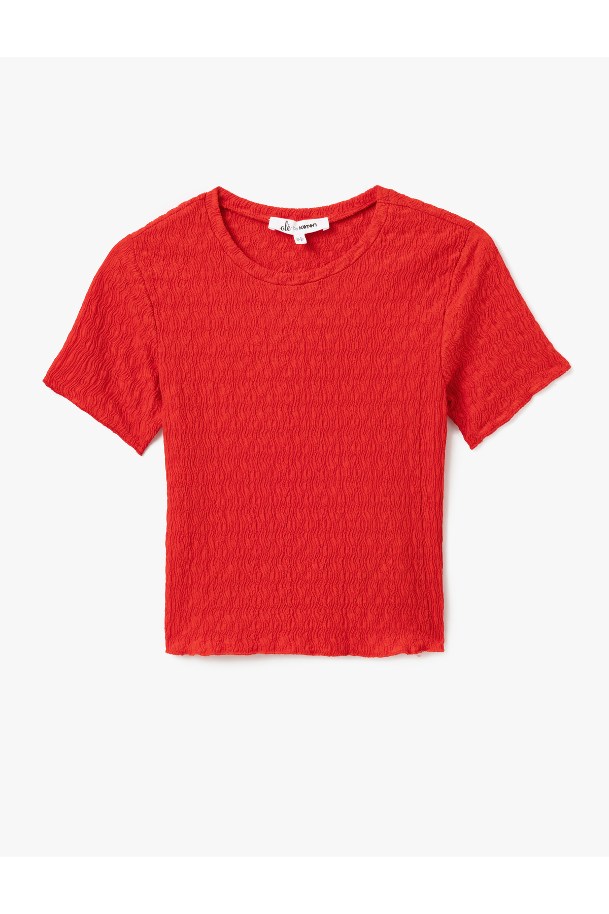 Basic Kısa Kollu Bisiklet Yaka Dokulu Crop Tişört Bürümcük