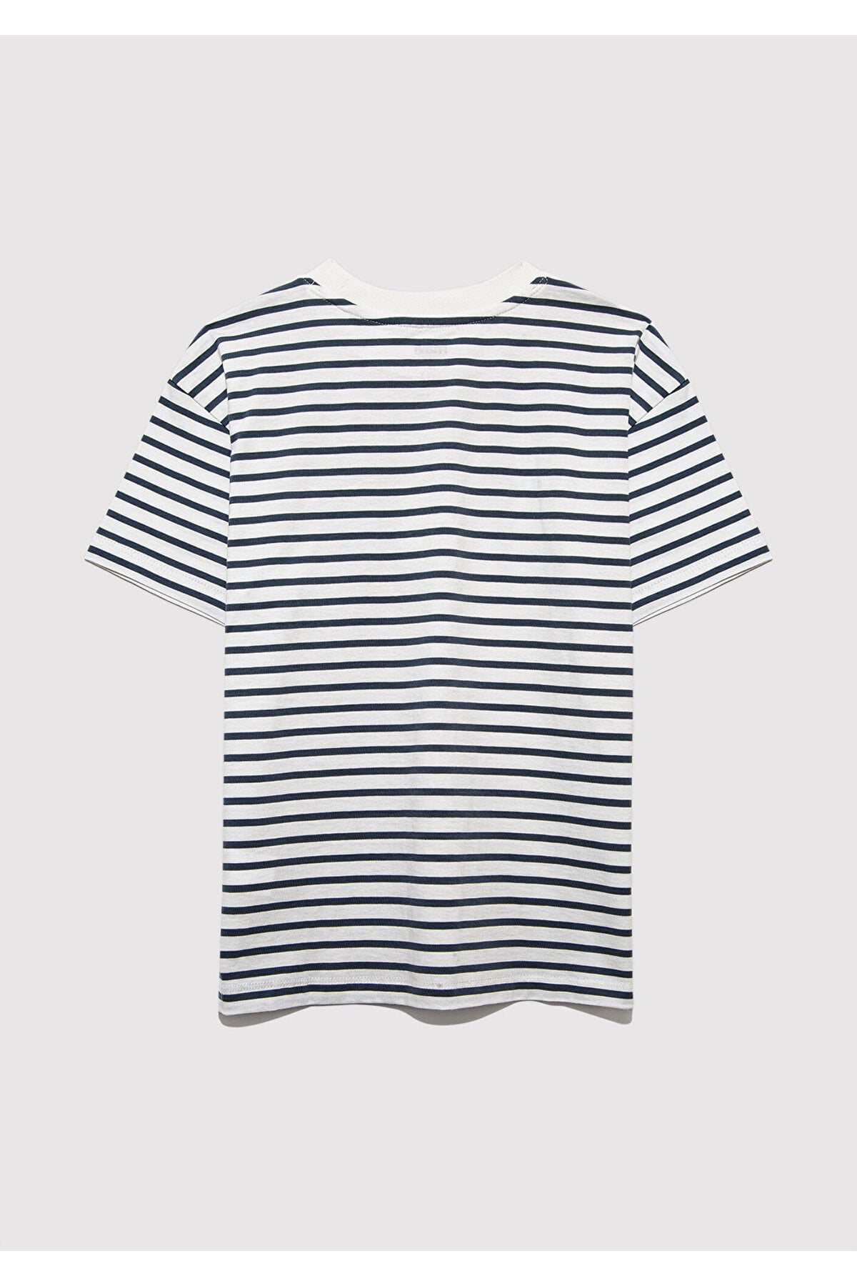 Baskılı Çizgili Tişört Loose Fit / Bol Rahat Kesim 6610264-89187