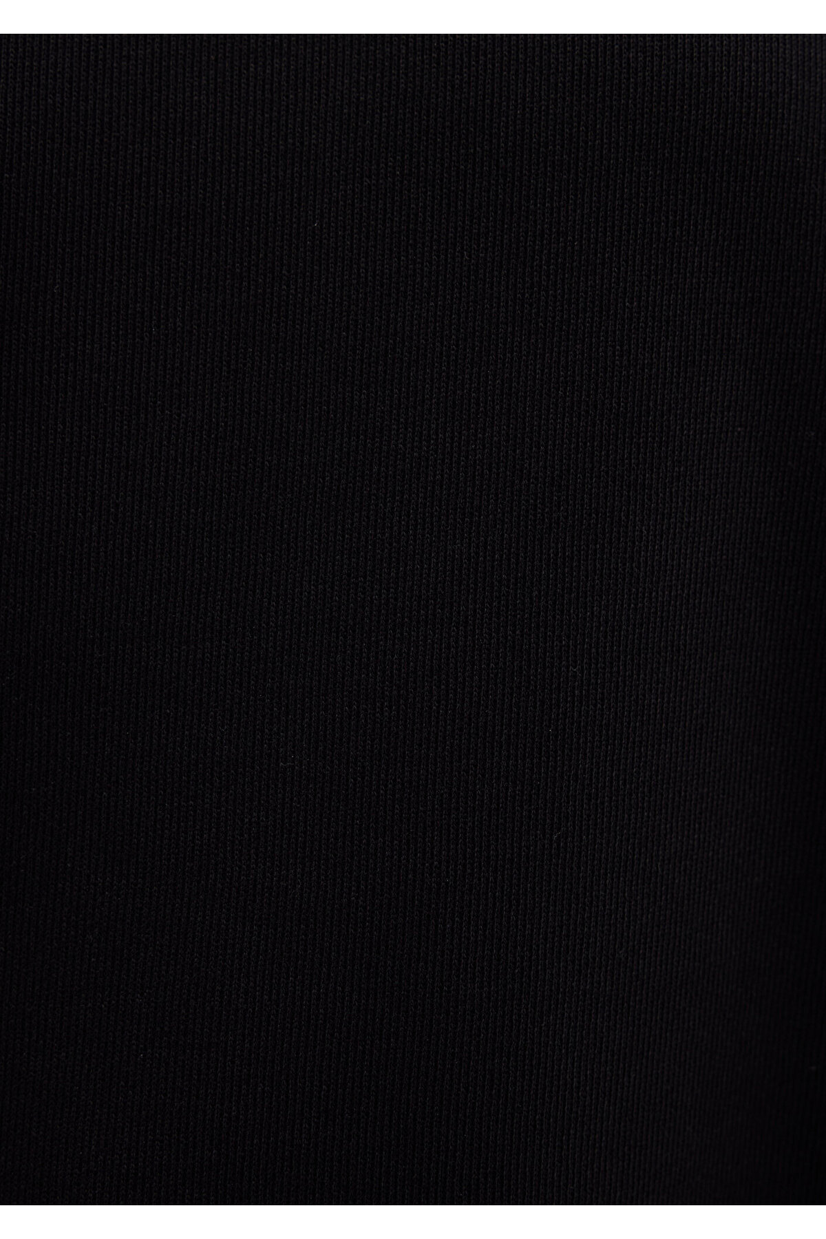 Bisiklet Yaka Siyah Sweatshirt 1S10390-900