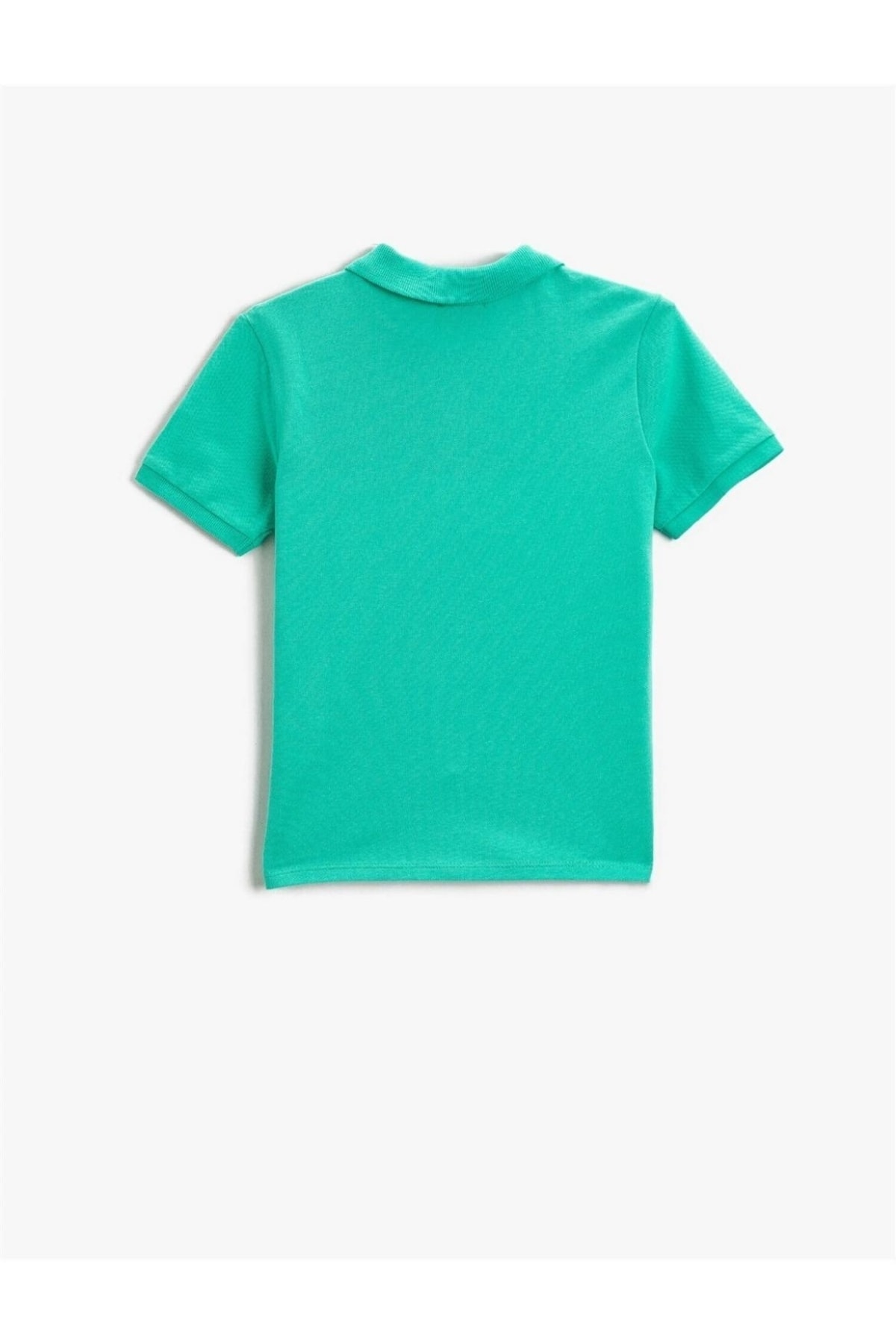 Duz Basıc T Shırt Ss Polo Reg2 Bayı