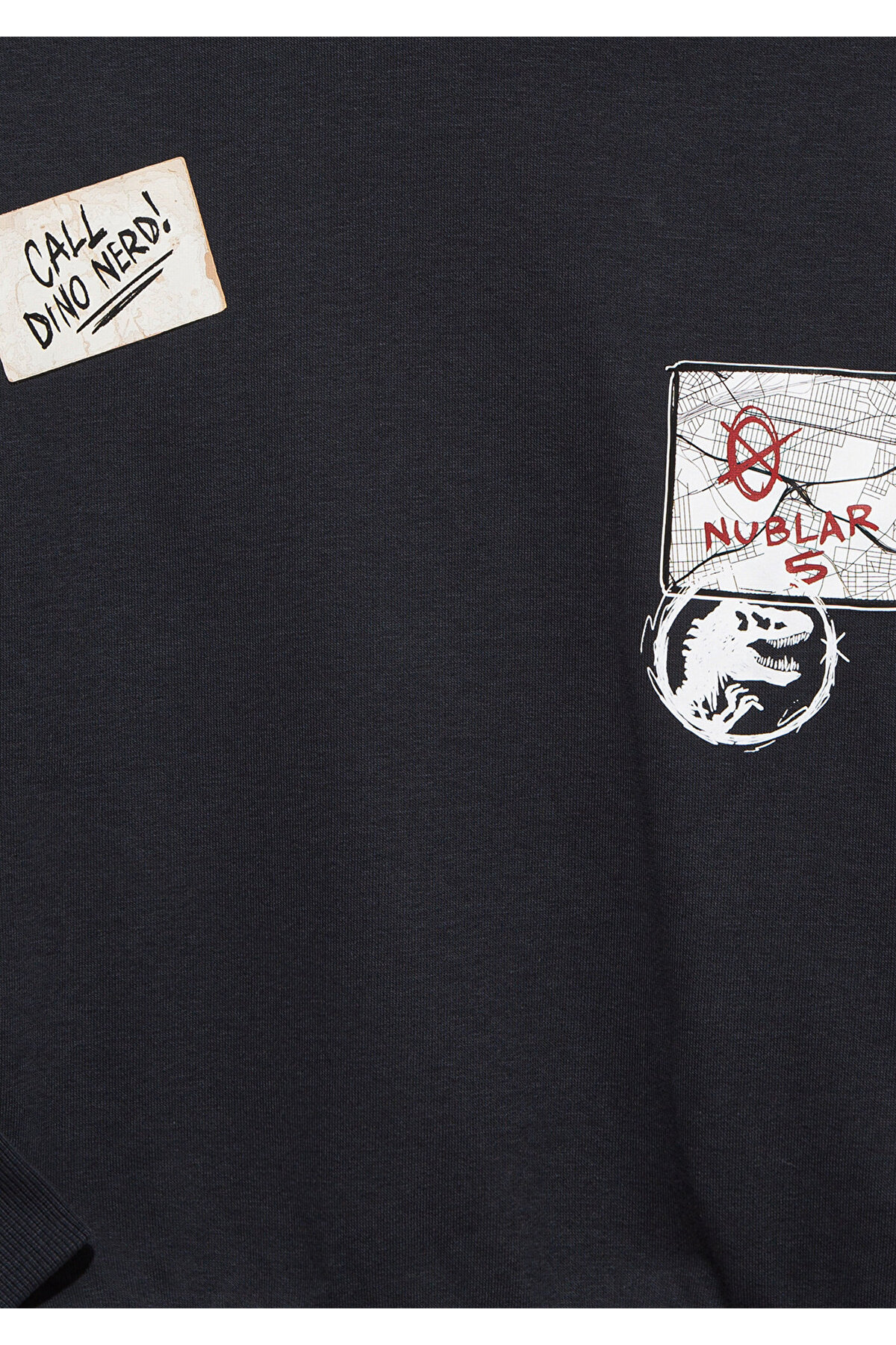Jurassic Park Baskılı Antrasit Sweatshirt 6S10135-70087