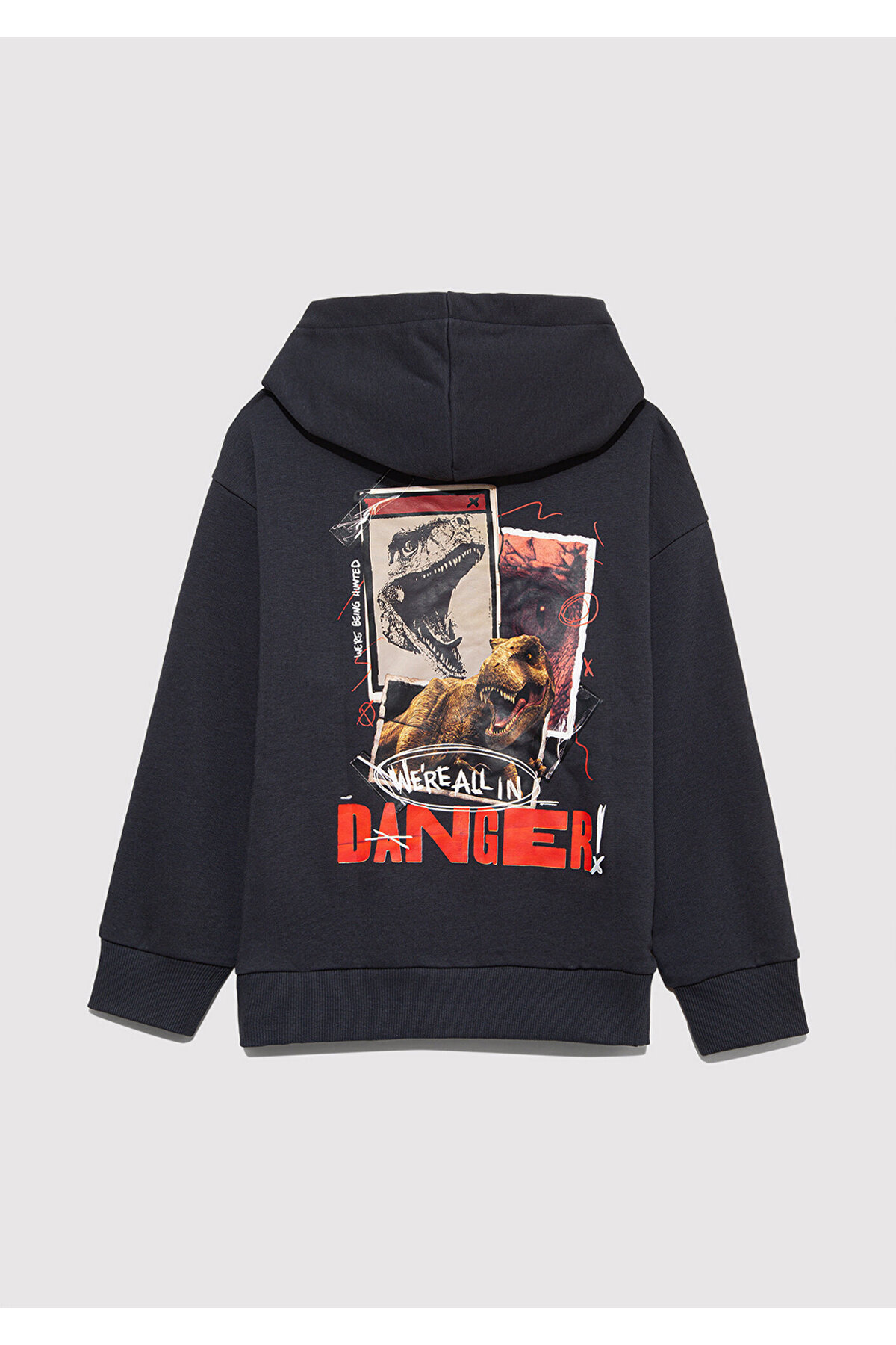 Jurassic Park Baskılı Antrasit Sweatshirt 6S10135-70087
