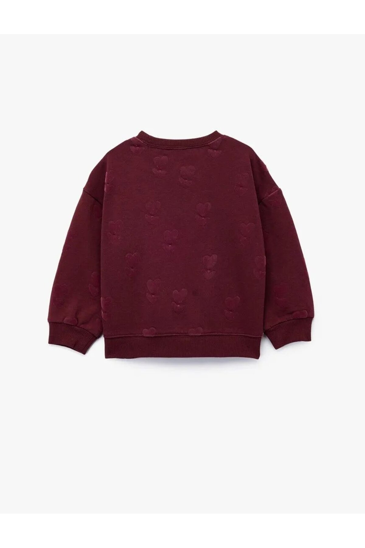 Kız Bebek Sweat 6WMG10096AK