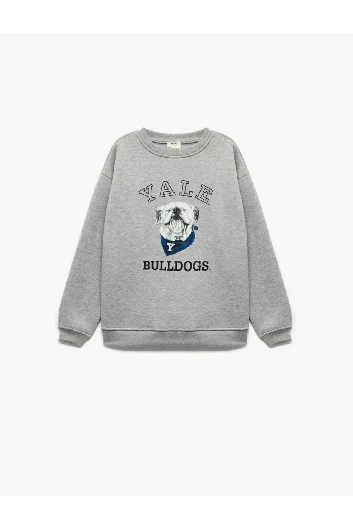 Lisanslı Uzun Kollu Bisiklet Yaka Baskılı Şardonlu Sweatshirt