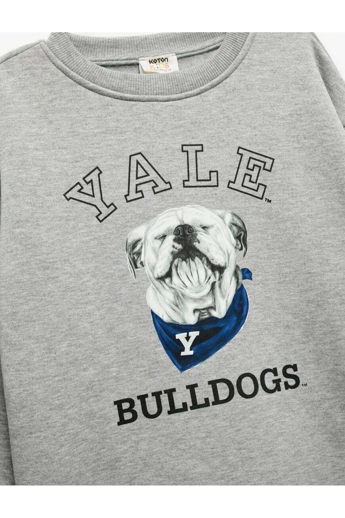 Lisanslı Uzun Kollu Bisiklet Yaka Baskılı Şardonlu Sweatshirt
