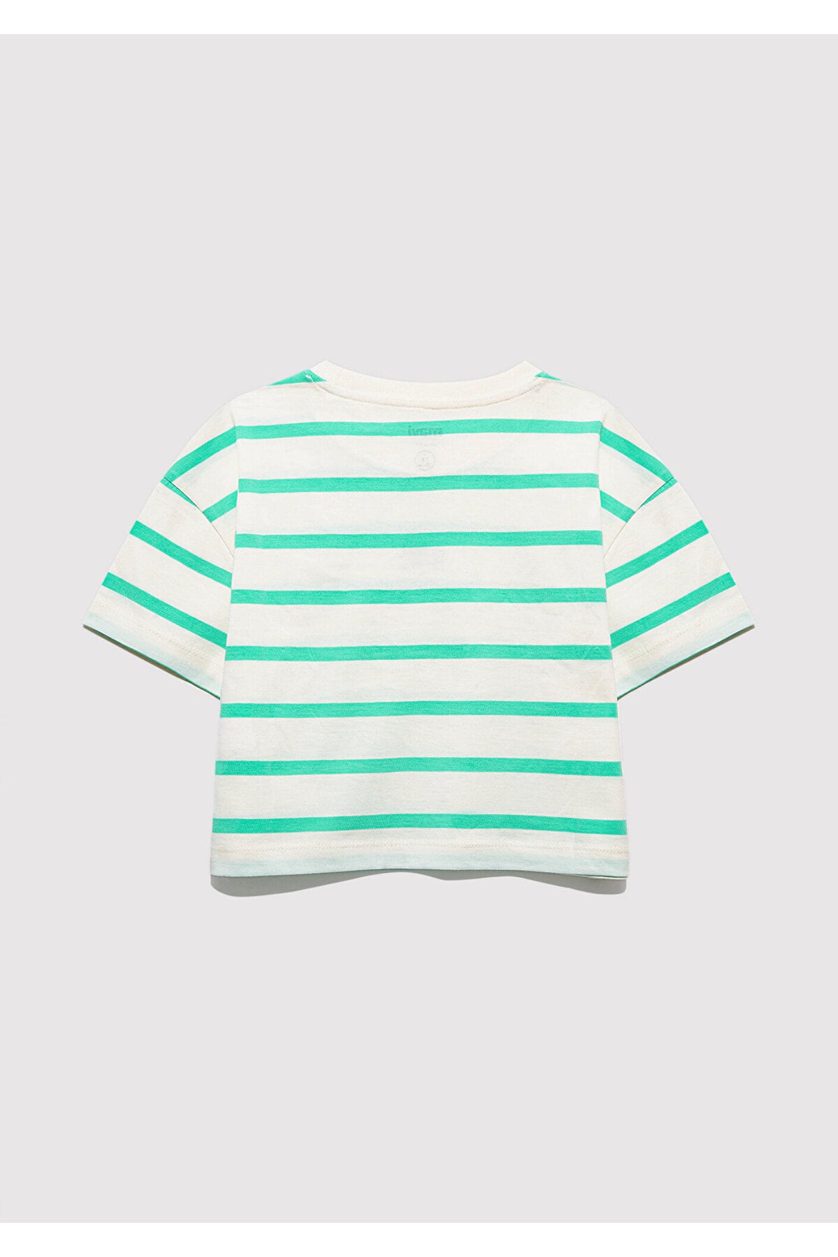 Logo Baskılı Yeşil Çizgili Crop Tişört Loose Fit / Bol Rahat Kesim 7610182-88145