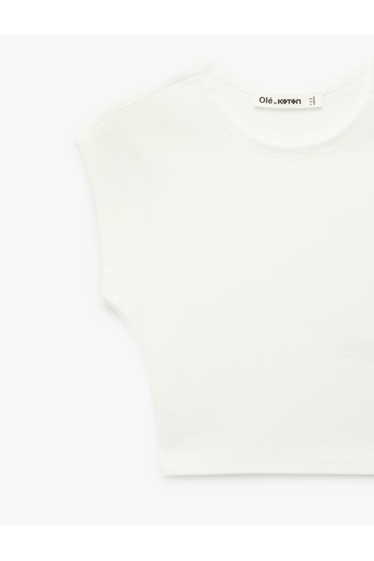 Modal Karışımlı Slim Fit Bisiklet Yaka Kolsuz Crop Tişört