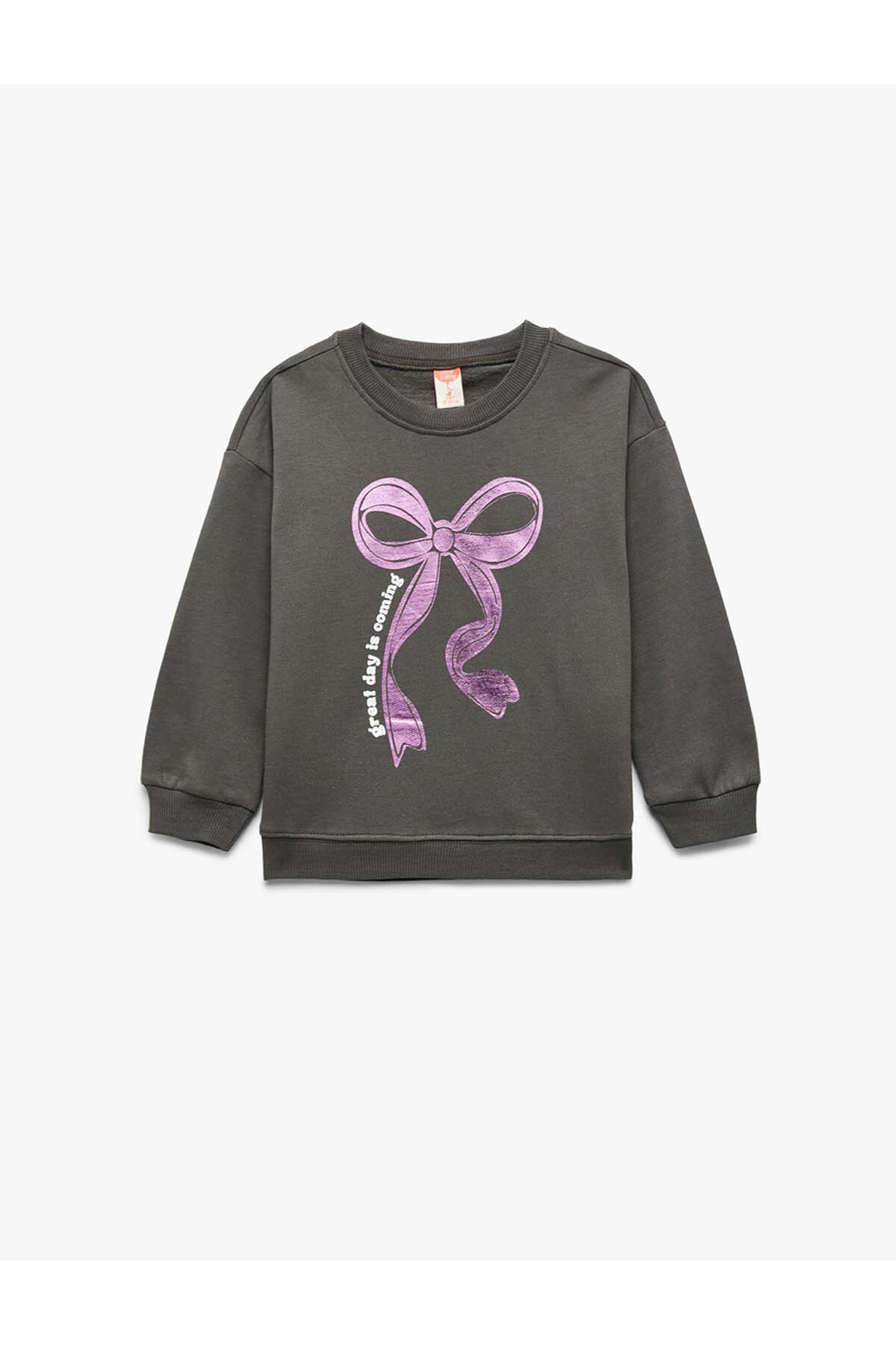 Şardonlu Bisiklet Yaka Fiyonk Baskılı Antrasit Kız Bebek Sweatshirt 6Wmg10102Ak