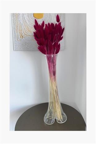 Dekoratif Şoklanmış Bordo Pamuk Otu Kuru Çiçek