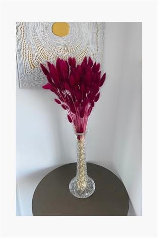 Dekoratif Şoklanmış Bordo Pamuk Otu Kuru Çiçek