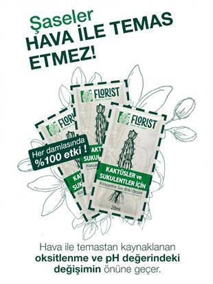 Florist Şaseli Kaktus ve Sukulent Bitkiler İçin Sıvı Bitki Besini