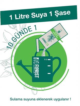 Florist Şaseli Yeşil Yapraklı Bitkiler İçin Sıvı Bitki Besini