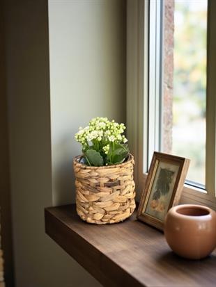 Kalanchoe Çiçeği - Emel Hanım Kalanşo Masaüstü Boy (Beyaz)