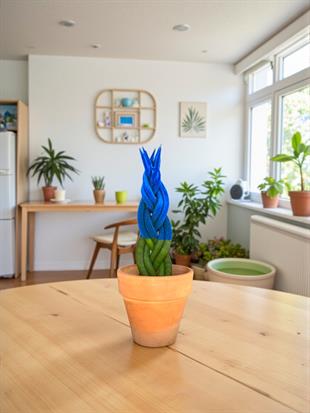 Mavi Kadife Örgülü Sansevieria Cylindrica (Paşa Kılıcı) 