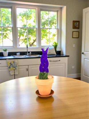 Mor Renkli Kadife Örgülü Sansevieria Cylindrica (Paşa Kılıcı) 