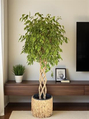 Örgülü Kafes Benjamin Danielle XLBitkisi 130 cm