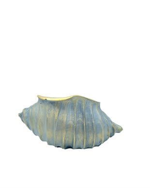 Orta Boy İstridye Saksı