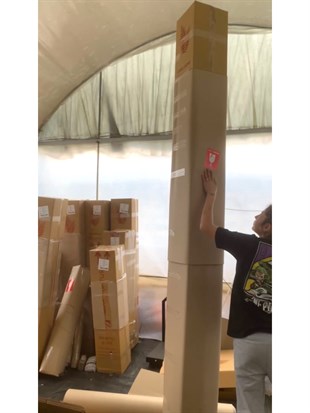 Starliçe (Cennet Kuşu) 3 Gövdeli XXXL 250-280 Cm