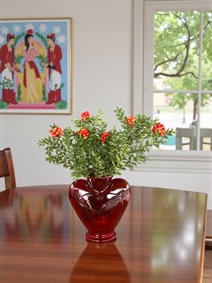 Süslenmiş Hediyelik Cam Vazoda Kokina Large – Yeni Yıl Özel