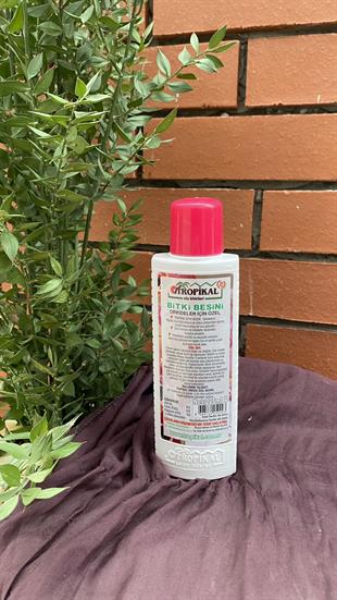 Tropikal Orkide Bitki Besini