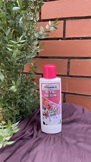 Tropikal Orkide Bitki Besini