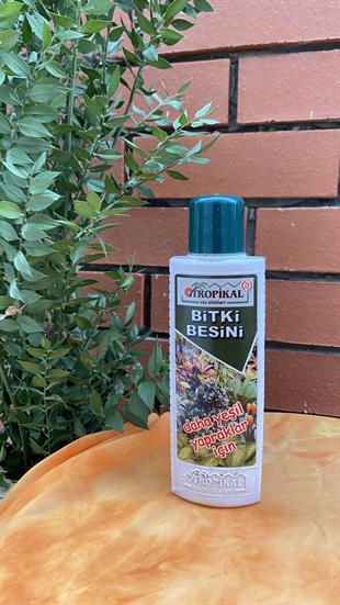 Tropikal Tüm Bitkiler İçin Genel Bitki Besini