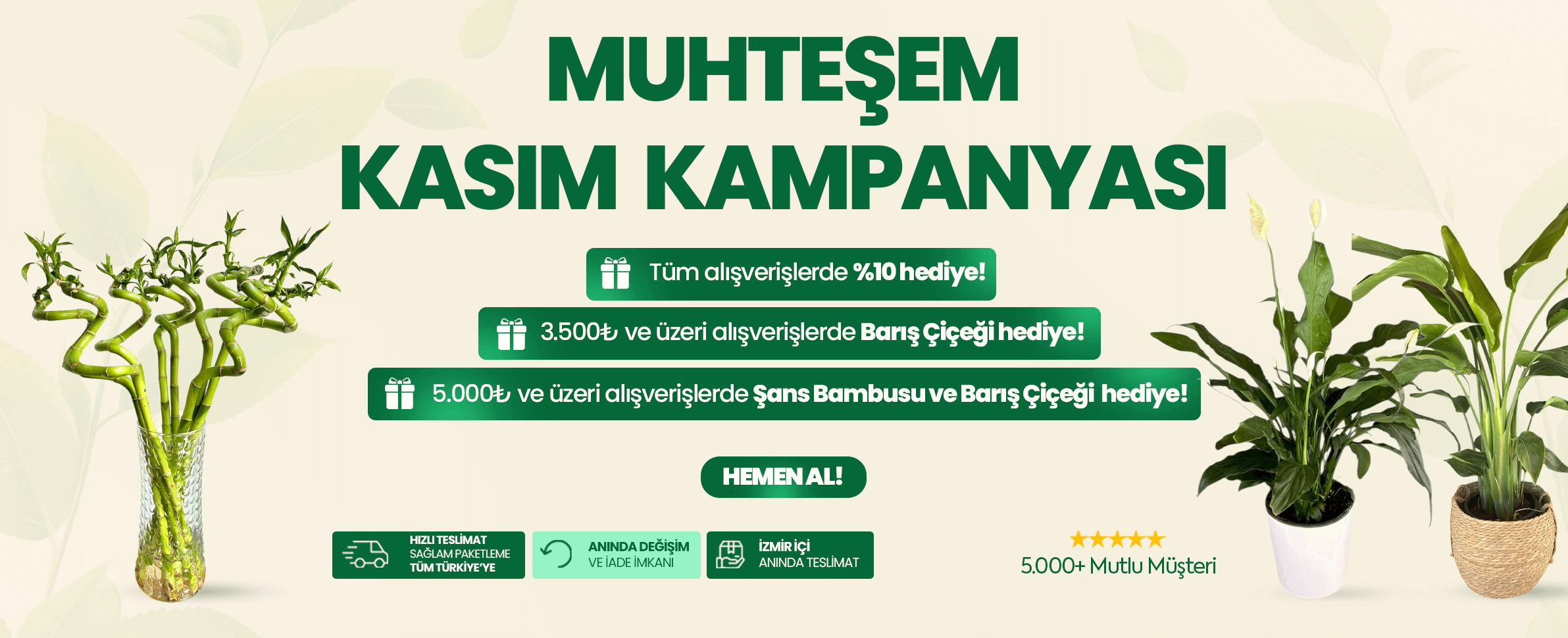 İç Mekan Bitkileri