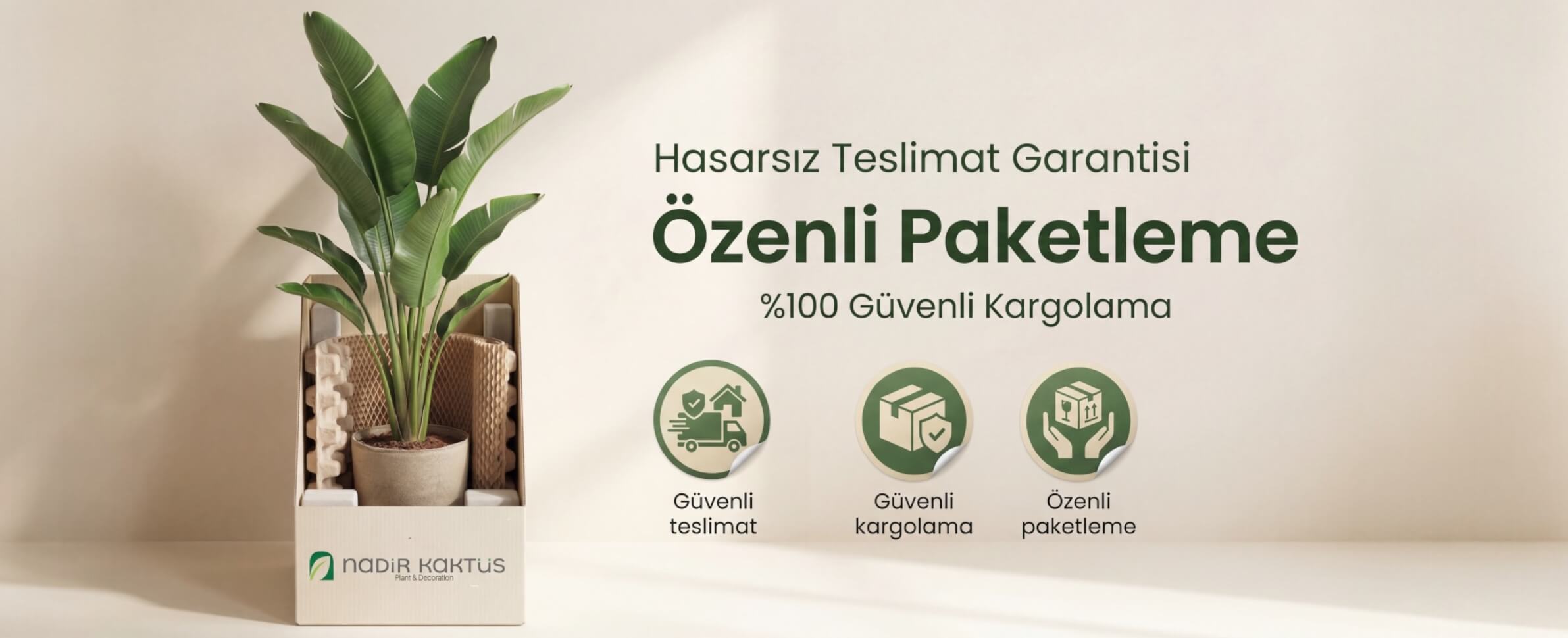 İç Mekan Bitkileri