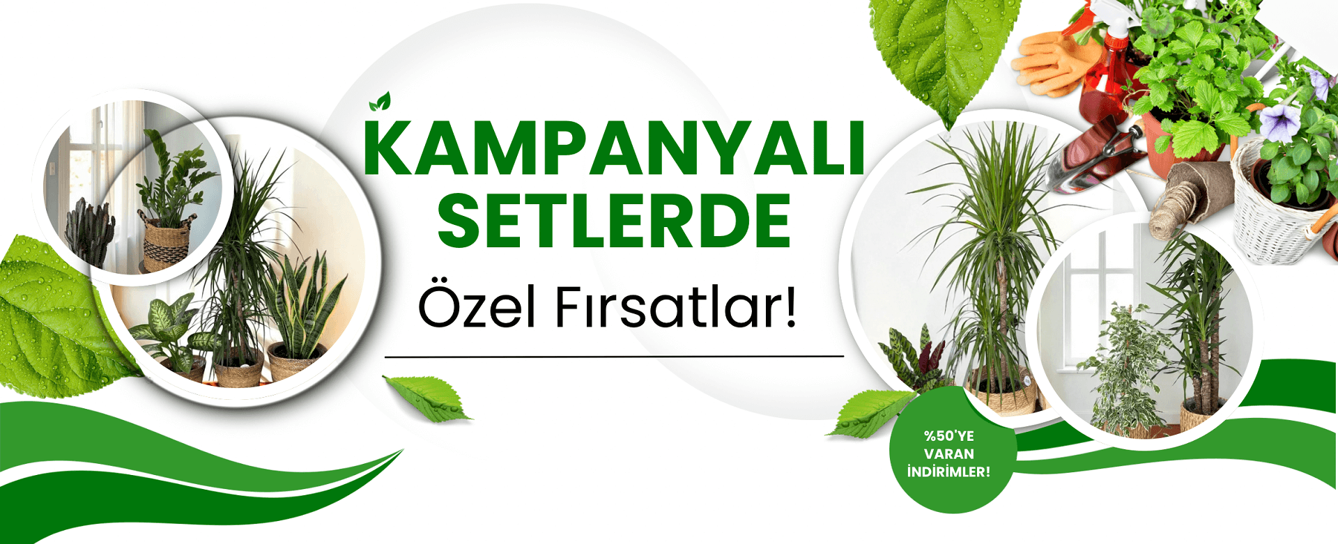 Salon Bitkileri ve Ofis Bitkileri Kampanyalı Setler