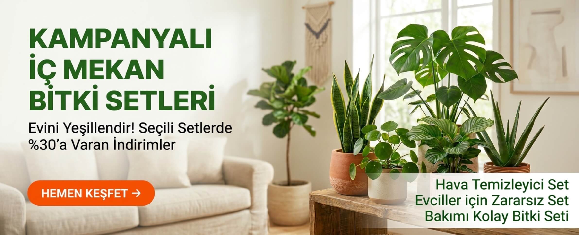 Salon Bitkileri ve Ofis Bitkileri Kampanyalı Setler