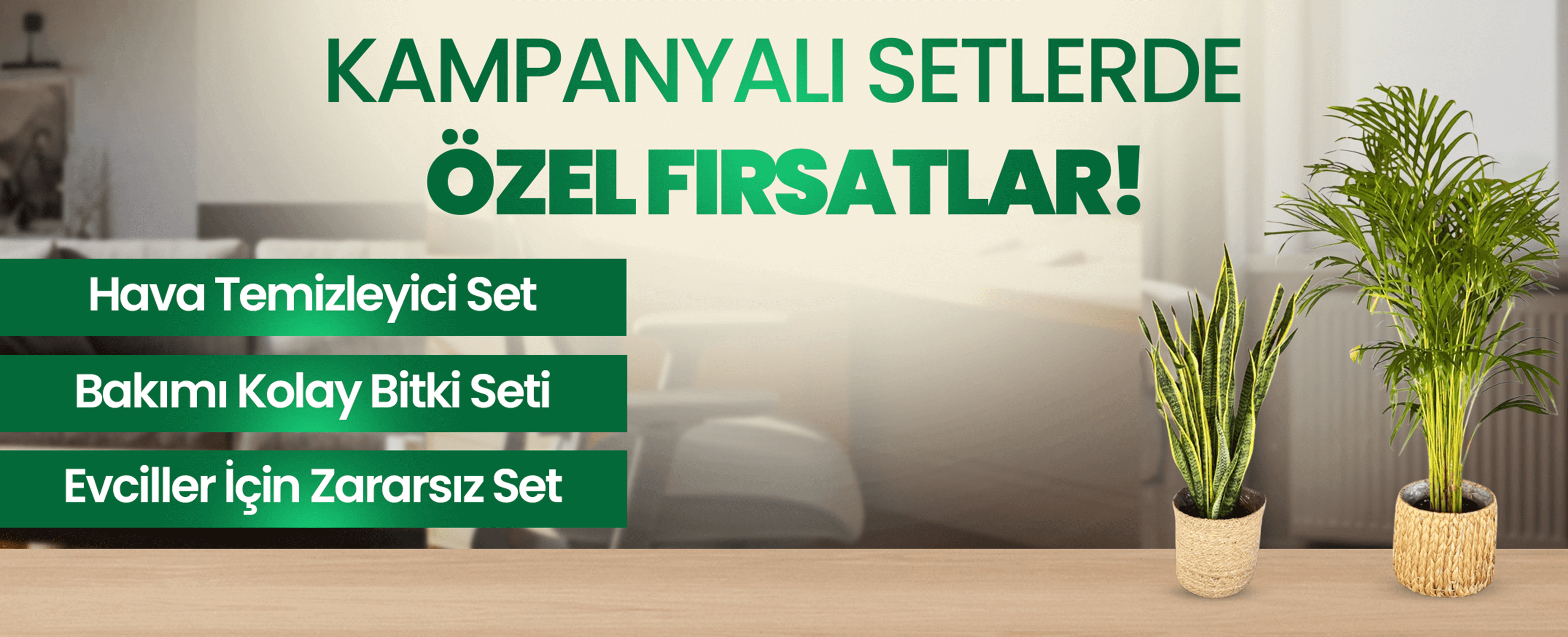 Salon Bitkileri ve Ofis Bitkileri Kampanyalı Setler