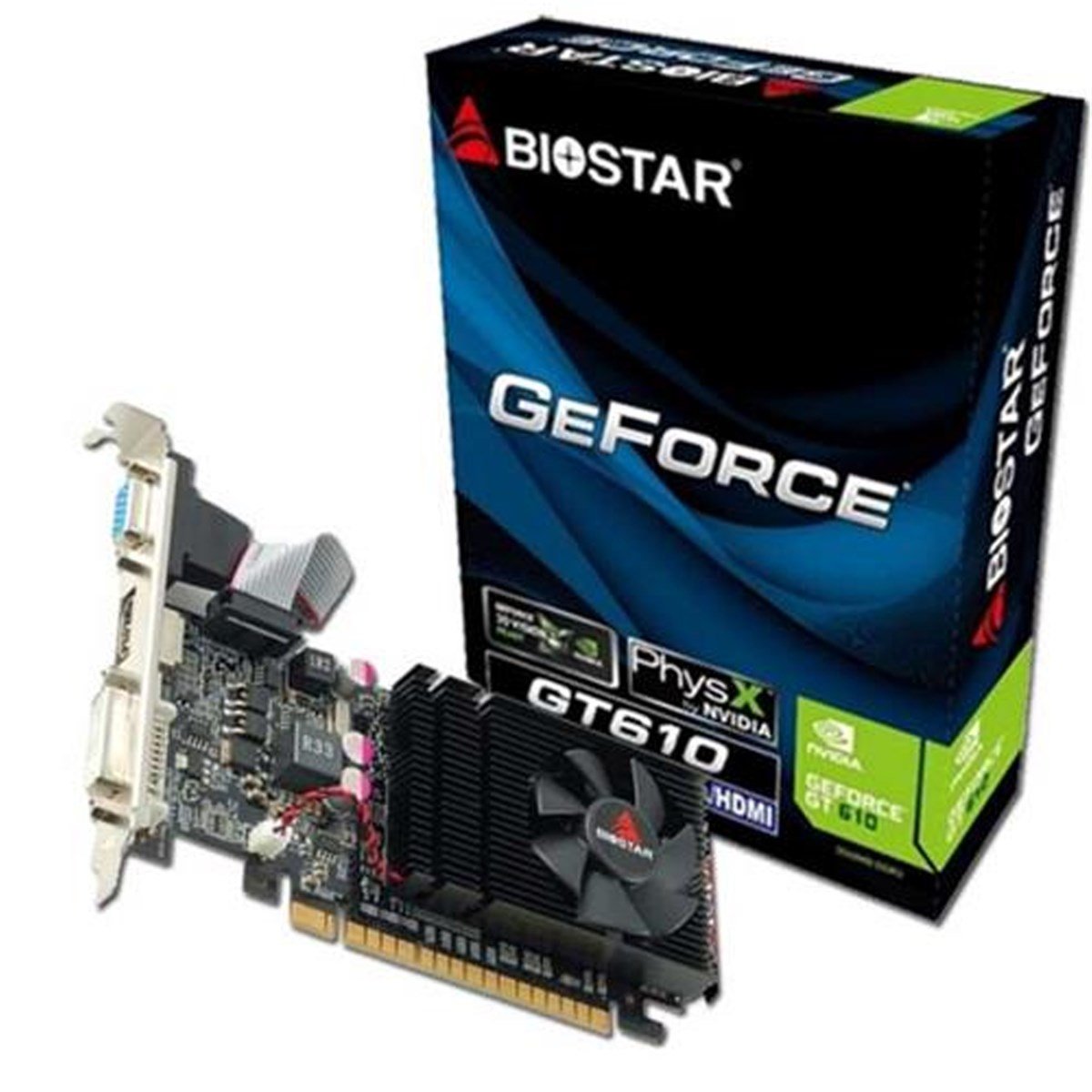 Biostar GT610 2GB 64Bit DDR3 16X LP