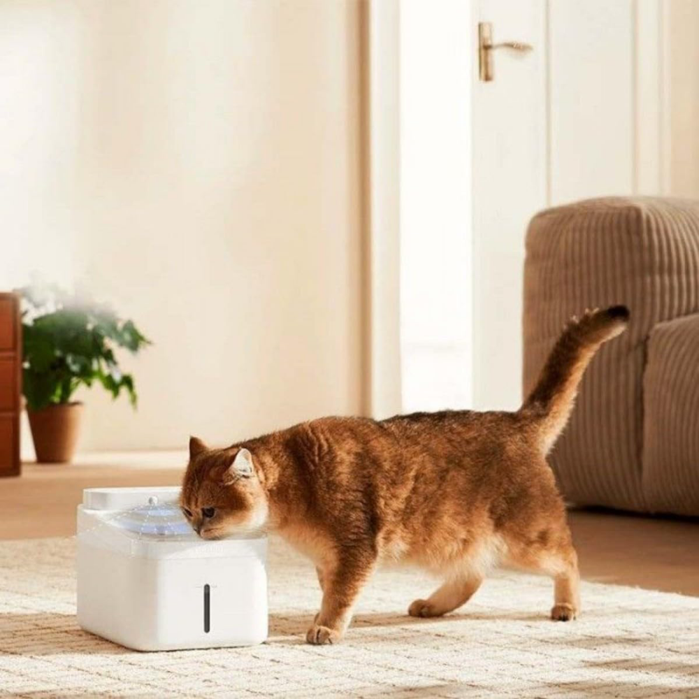 Xiaomi Smart Pet Fountain 2 Akıllı Evcil Hayvan Su Haznesi