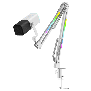 Havit Gamenote GK71 Pro RGB Yayıncı Mikrofonu, 24-Bit, 192kHz, XLR & Type-C, Stantlı - Beyaz