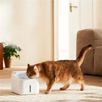 Xiaomi Smart Pet Fountain 2 Akıllı Evcil Hayvan Su Haznesi
