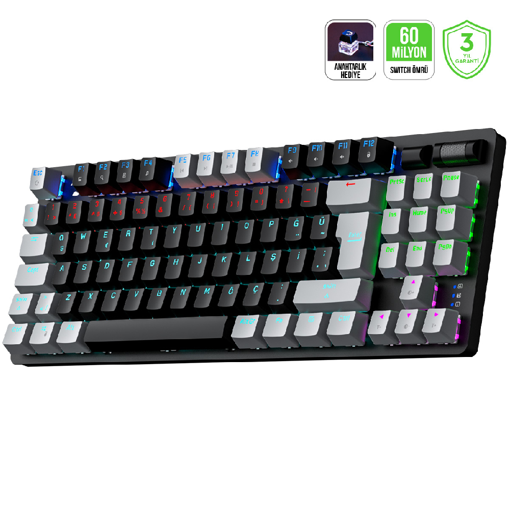 Gamepower Eva 5 Mekanik Blue Switch Türkçe Q 88 Tuş USB Gaming Klavye