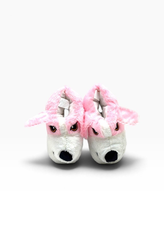 Cakgo 160-27 Köpek Fİgürlü Termal Çocuk Panduf 30-35