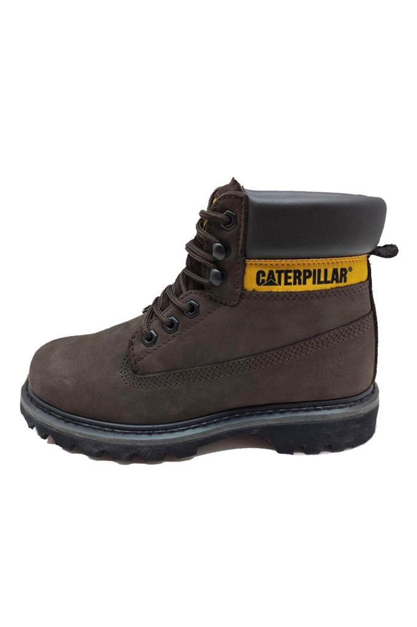 Cat Colorado Unisex Bot
