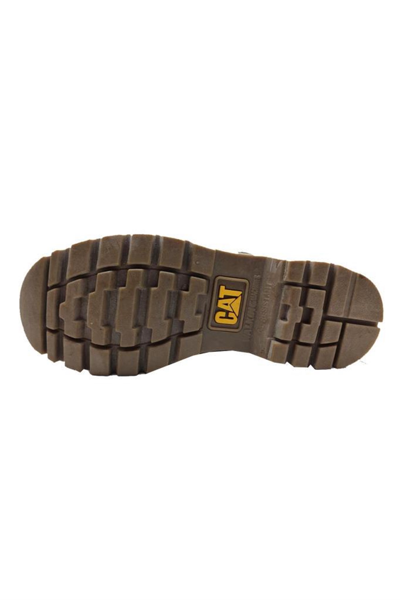 Cat Colorado Unisex Bot