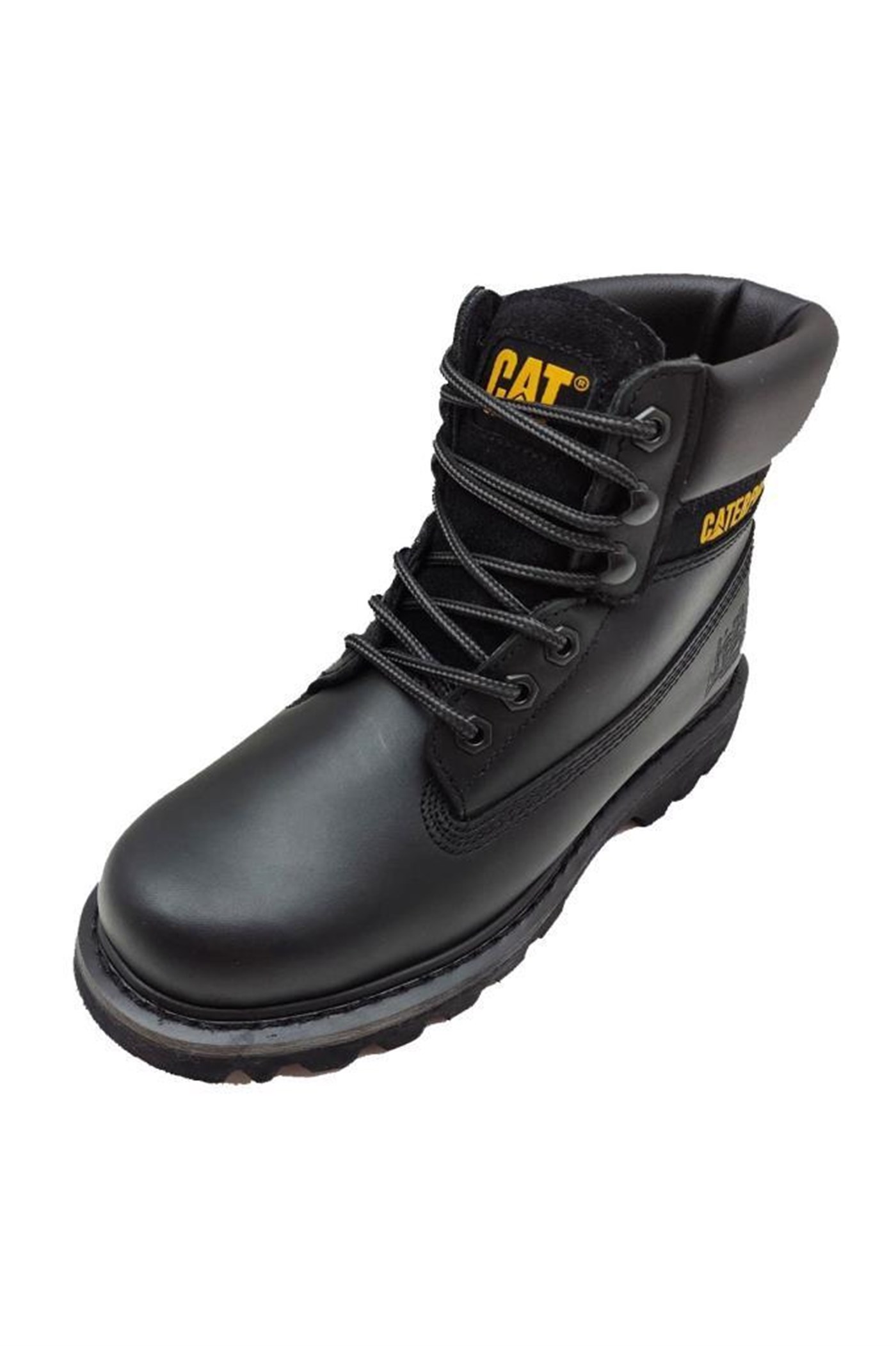 Cat Colorado Unisex Bot