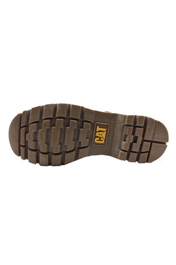 Cat Colorado Unisex Bot