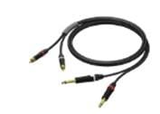 PROCAB PRA631/3 2 x 6.3 mm Jack male mono - 2 x RCA 3 MT