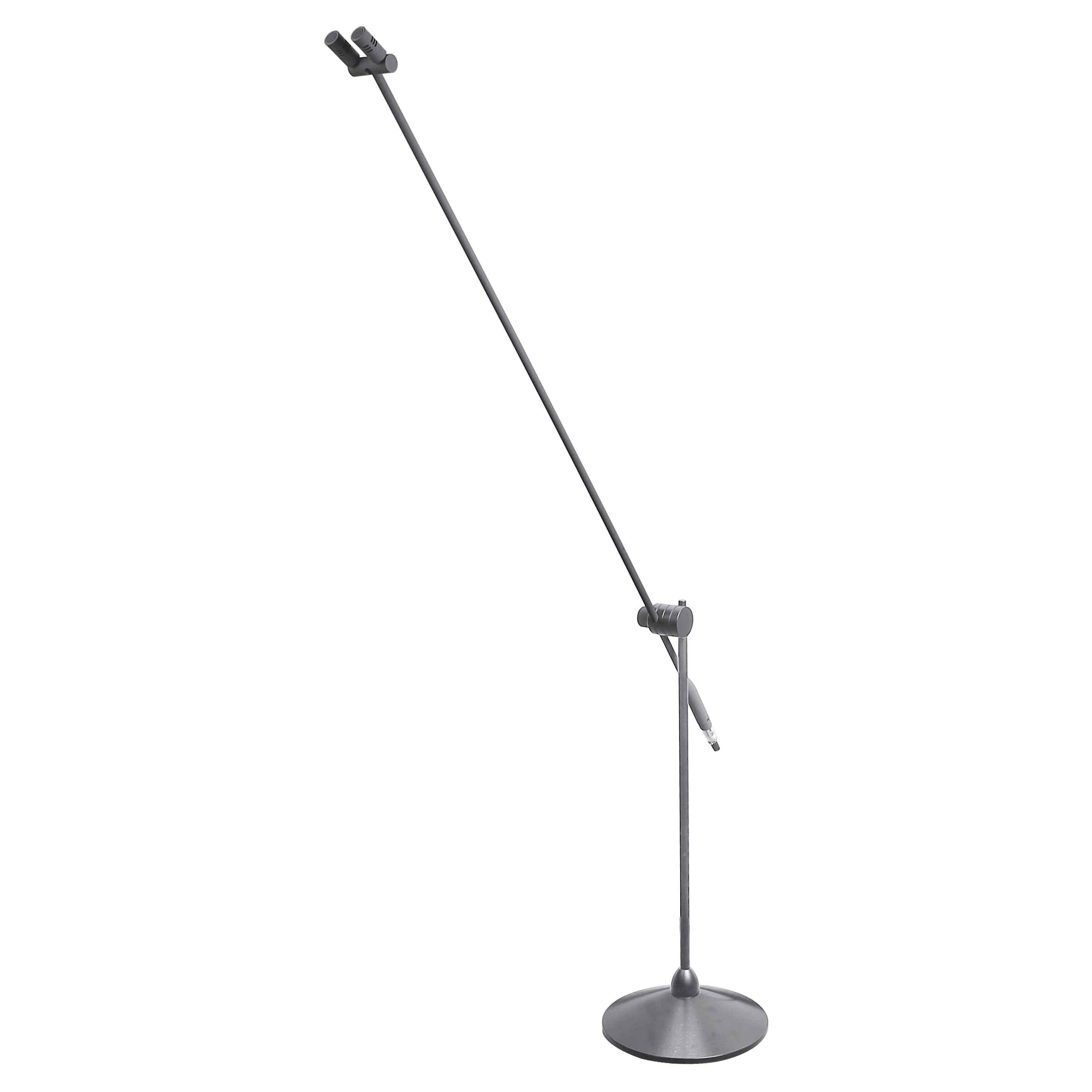 HTDZ HT-79L SEHPALI DUAL CONDENSER MİKROFON