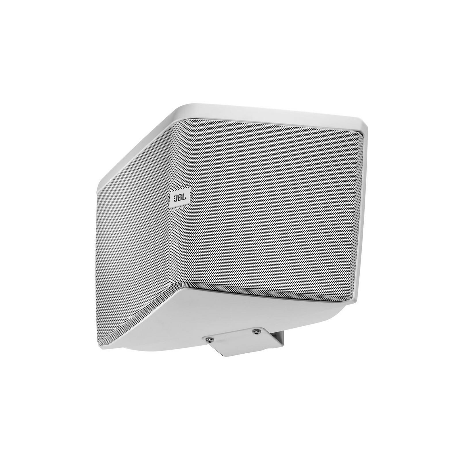 Control HST-WH 300W Peak 8 ohm 70-100V Çift Yönlü Kabin Hoparlör
