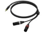 PROCAB PRA712/3 3.5 mm male stereo - 2 x XLR male 3 MT